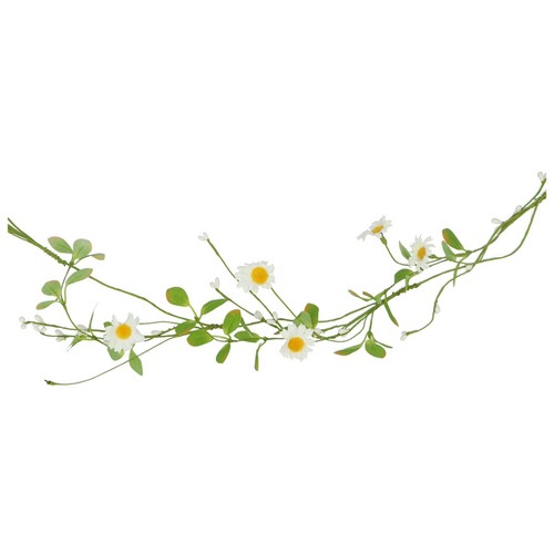 Gisela graham spring daisy - gisela,
